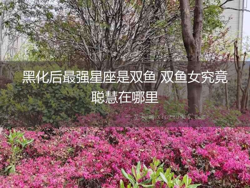 黑化后最強星座是雙魚 雙魚女究竟聰慧在哪里