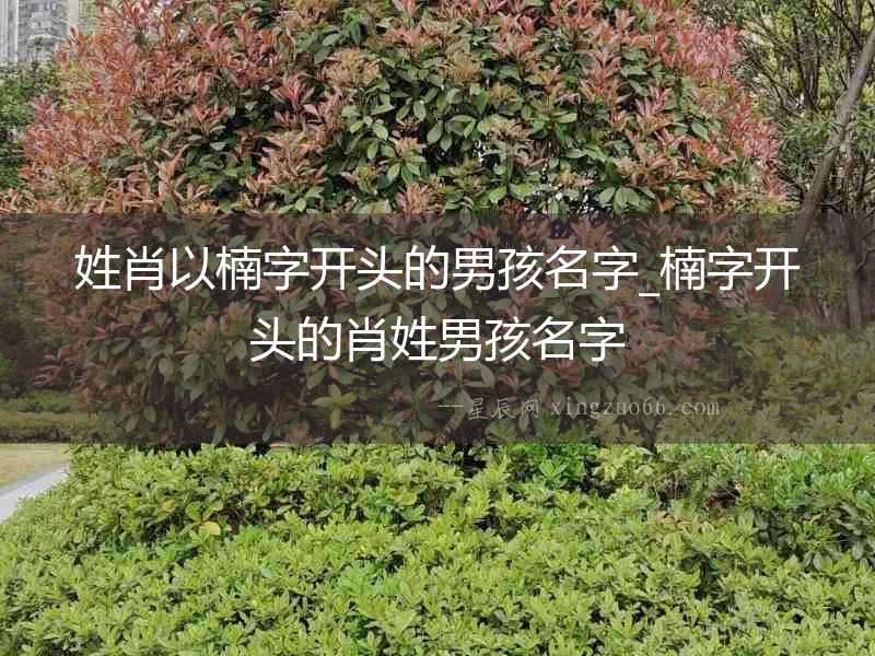 姓肖以楠字開頭的男孩名字_楠字開頭的肖姓男孩名字