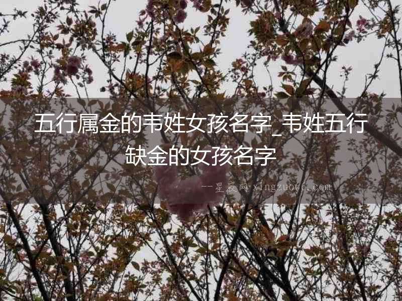 五行屬金的韋姓女孩名字_韋姓五行缺金的女孩名字