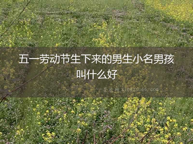 五一勞動節生下來的男生小名男孩叫什么好