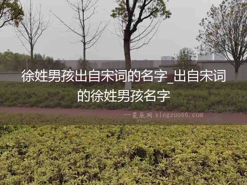 徐姓男孩出自宋詞的名字_出自宋詞的徐姓男孩名字