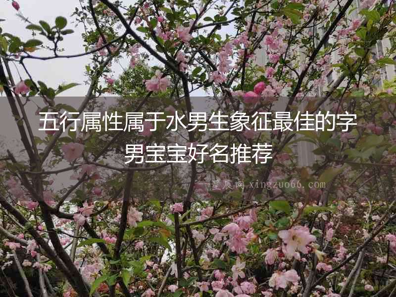 五行屬性屬于水男生象征最佳的字男寶寶好名推薦