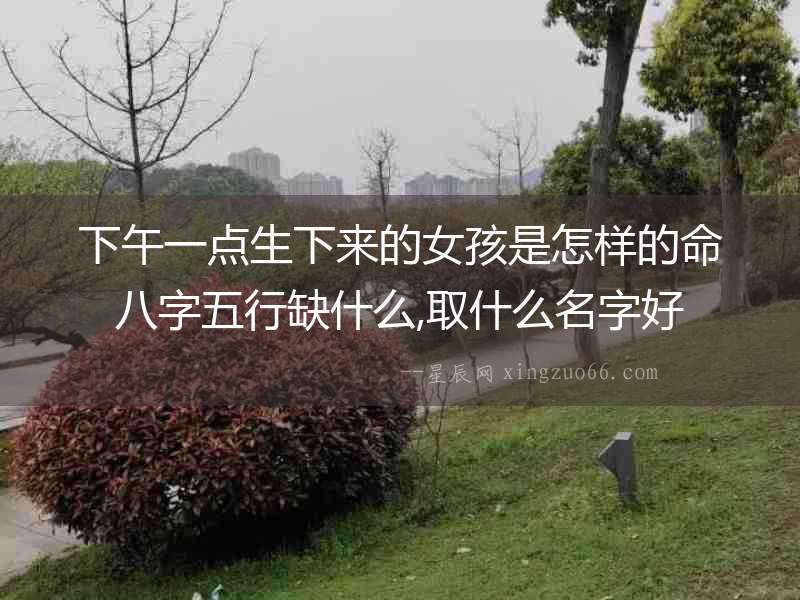 下午一點生下來的女孩是怎樣的命八字五行缺什么,取什么名字好