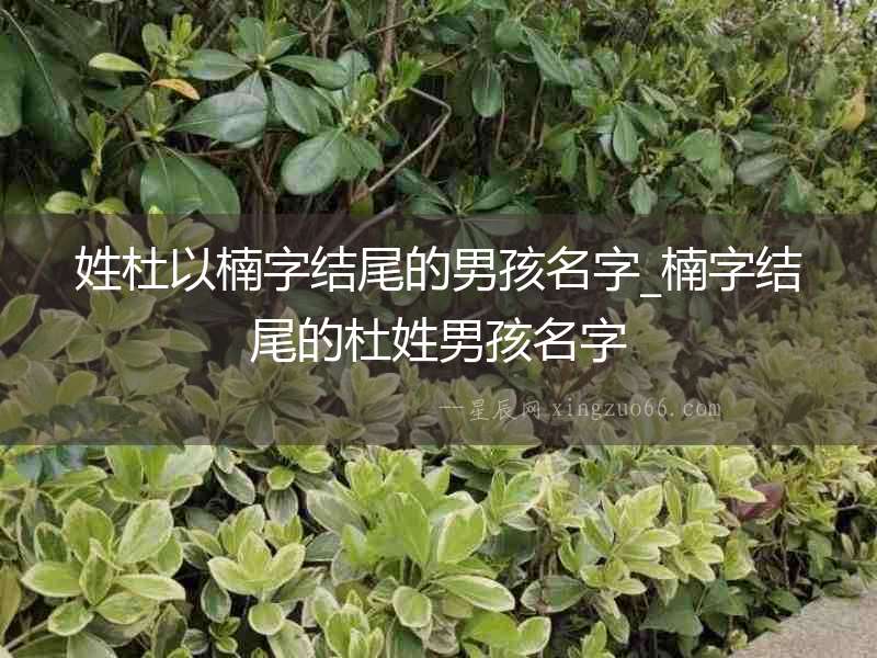 姓杜以楠字結尾的男孩名字_楠字結尾的杜姓男孩名字