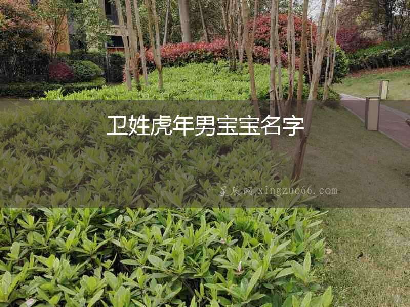 衛姓虎年男寶寶名字