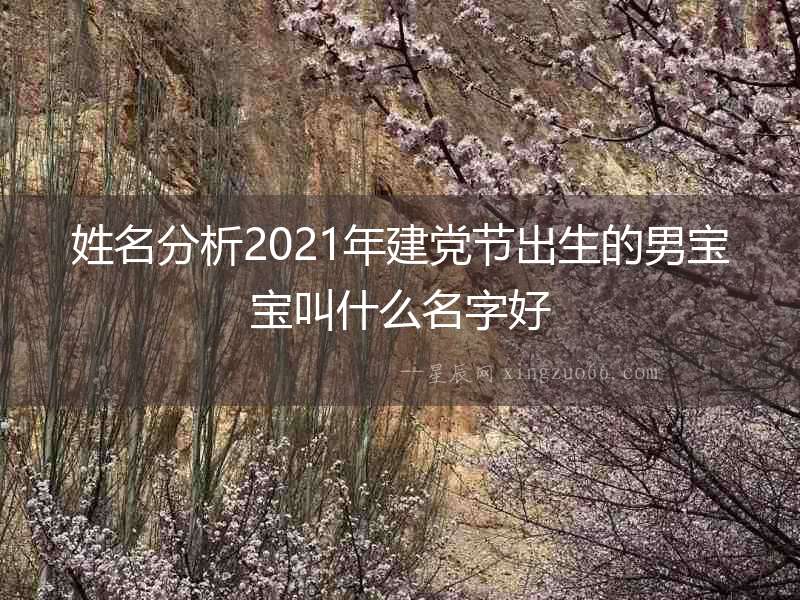 姓名分析2021年建黨節(jié)出生的男寶寶叫什么名字好