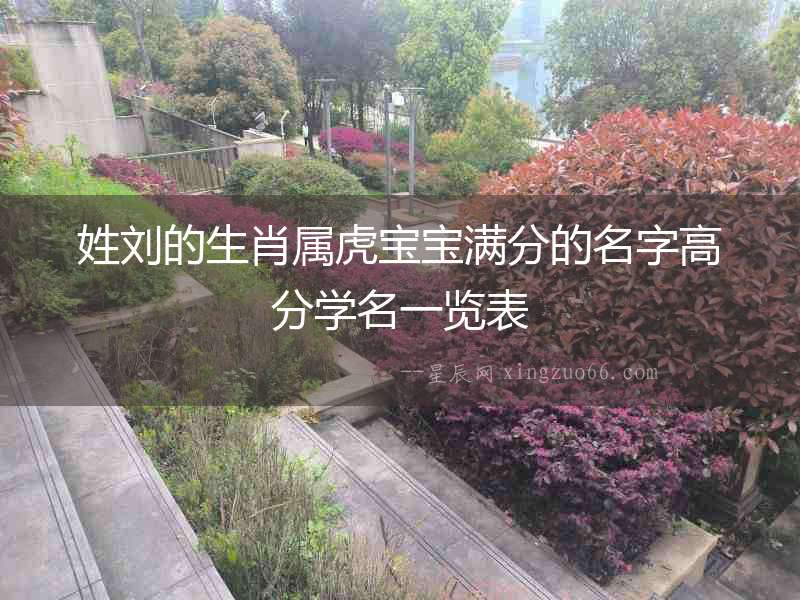 姓劉的生肖屬虎寶寶滿分的名字高分學名一覽表
