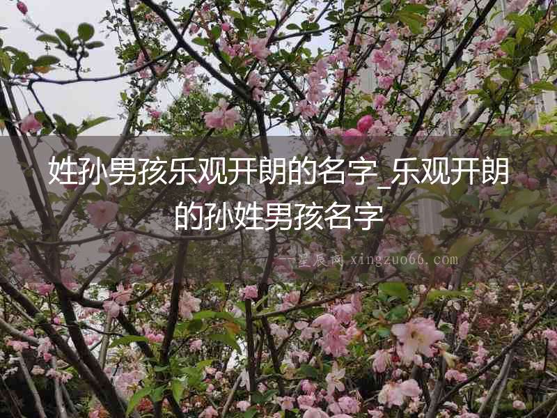姓孫男孩樂觀開朗的名字_樂觀開朗的孫姓男孩名字