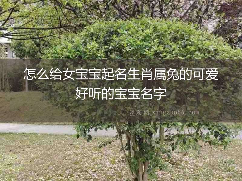怎么給女寶寶起名生肖屬兔的可愛好聽的寶寶名字