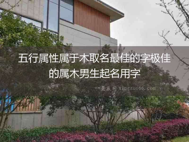 五行屬性屬于木取名最佳的字極佳的屬木男生起名用字