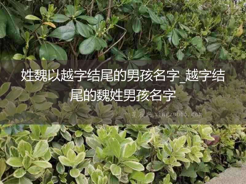 姓魏以越字結尾的男孩名字_越字結尾的魏姓男孩名字