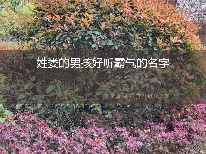 姓婁的男孩好聽霸氣的名字