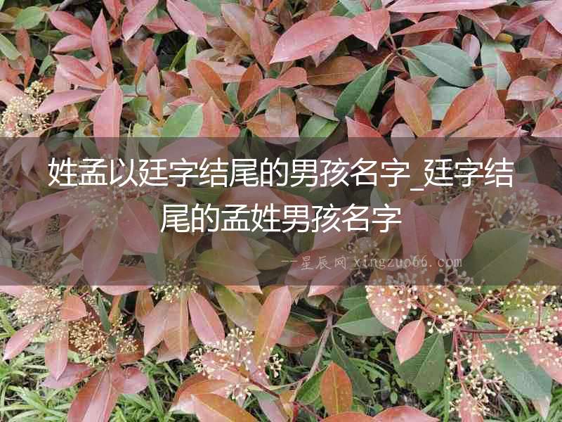 姓孟以廷字結尾的男孩名字_廷字結尾的孟姓男孩名字