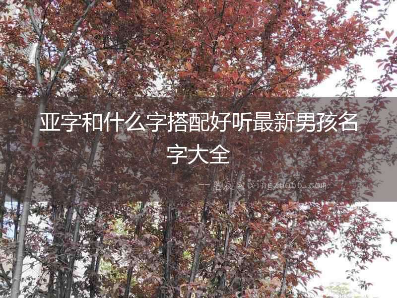 亞字和什么字搭配好聽最新男孩名字大全