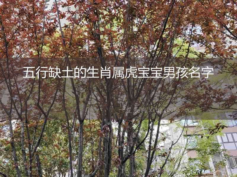 五行缺土的生肖屬虎寶寶男孩名字