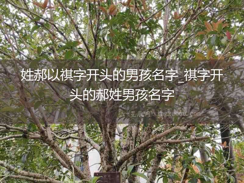 姓郝以祺字開頭的男孩名字_祺字開頭的郝姓男孩名字