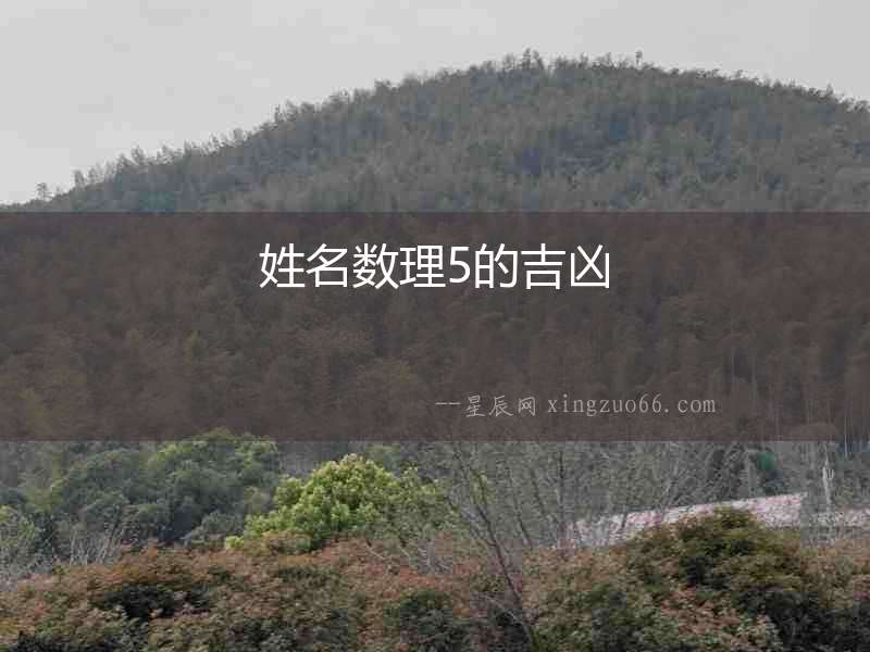 姓名數理5的吉兇