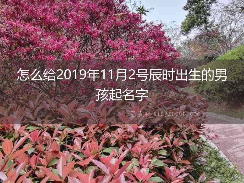 怎么給2019年11月2號辰時出生的男孩起名字