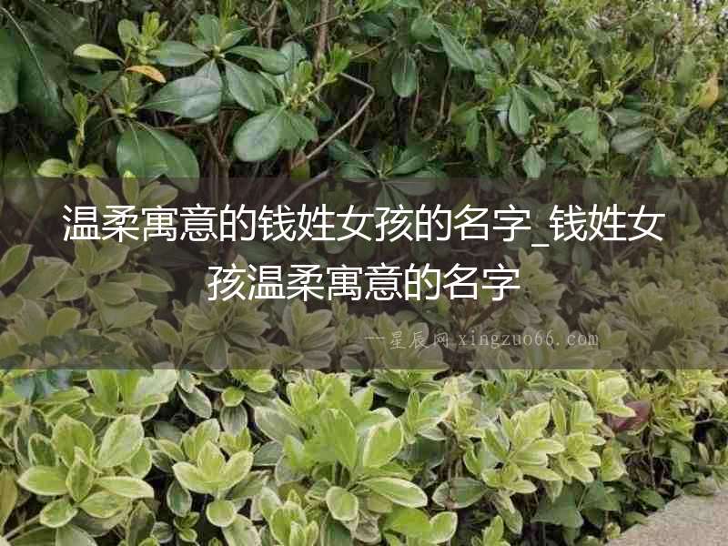 溫柔寓意的錢姓女孩的名字_錢姓女孩溫柔寓意的名字