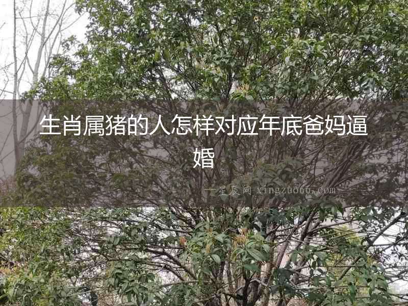 生肖屬豬的人怎樣對(duì)應(yīng)年底爸媽逼婚