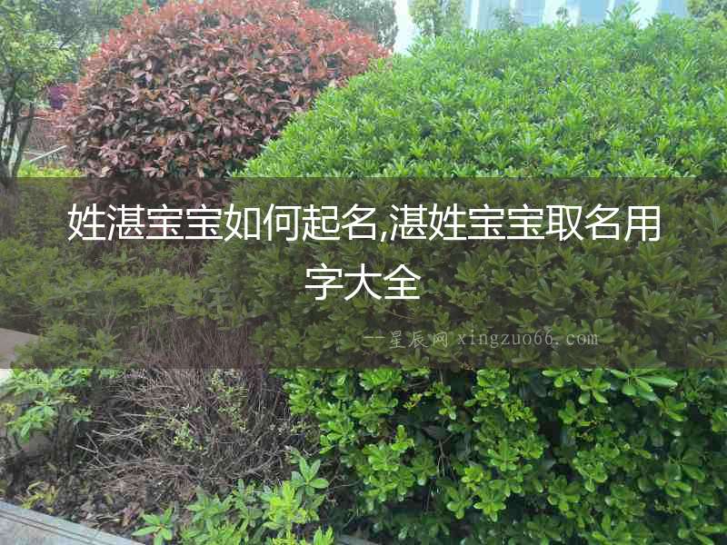 姓湛寶寶如何起名,湛姓寶寶取名用字大全