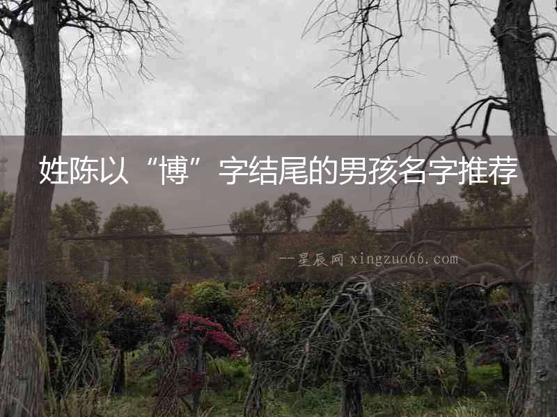姓陳以“博”字結尾的男孩名字推薦