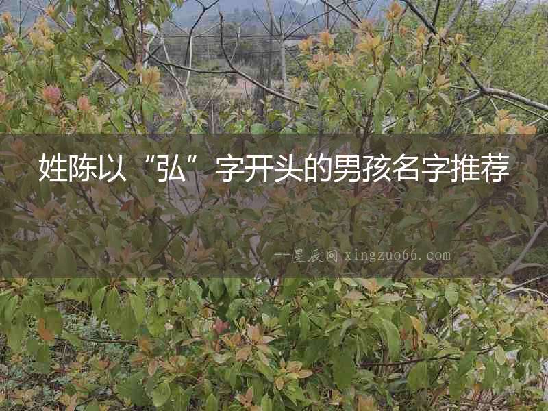 姓陳以“弘”字開頭的男孩名字推薦
