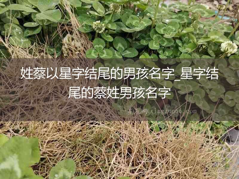姓蔡以星字結(jié)尾的男孩名字_星字結(jié)尾的蔡姓男孩名字