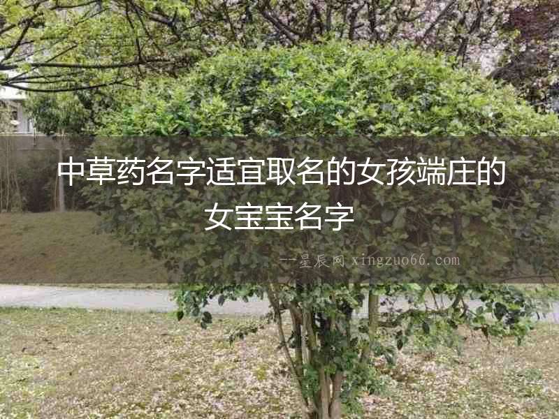 中草藥名字適宜取名的女孩端莊的女寶寶名字