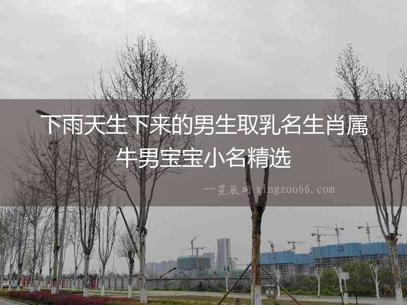 下雨天生下來的男生取乳名生肖屬牛男寶寶小名精選