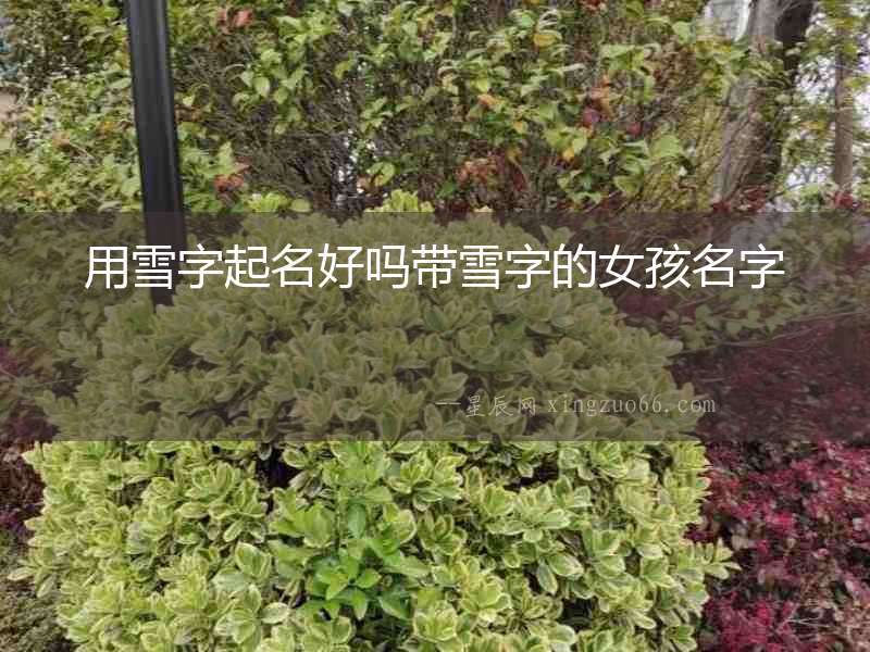 用雪字起名好嗎帶雪字的女孩名字