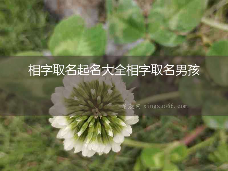相字取名起名大全相字取名男孩