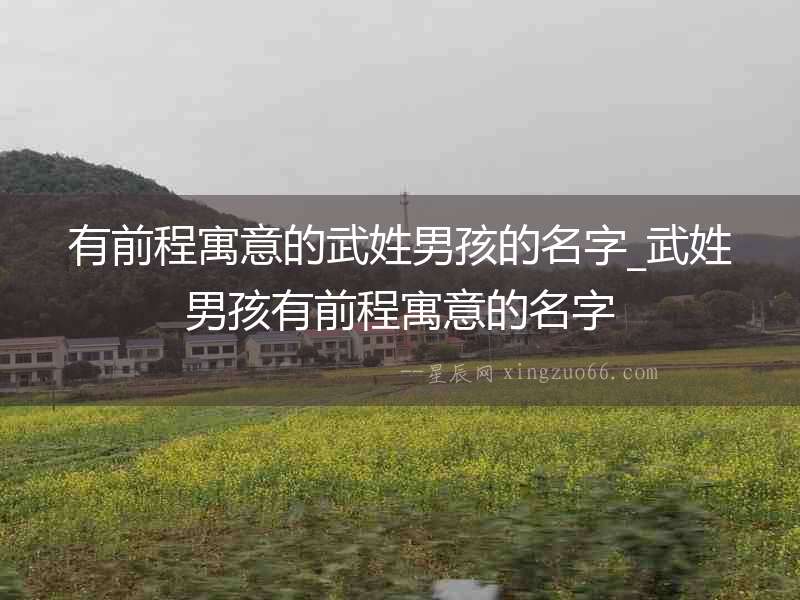 有前程寓意的武姓男孩的名字_武姓男孩有前程寓意的名字