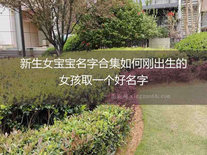 新生女寶寶名字合集如何剛出生的女孩取一個(gè)好名字