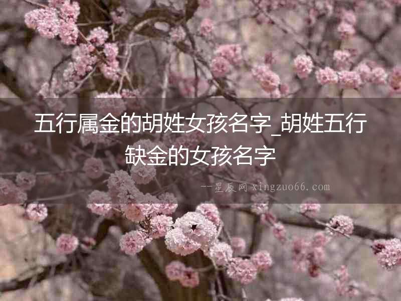 五行屬金的胡姓女孩名字_胡姓五行缺金的女孩名字