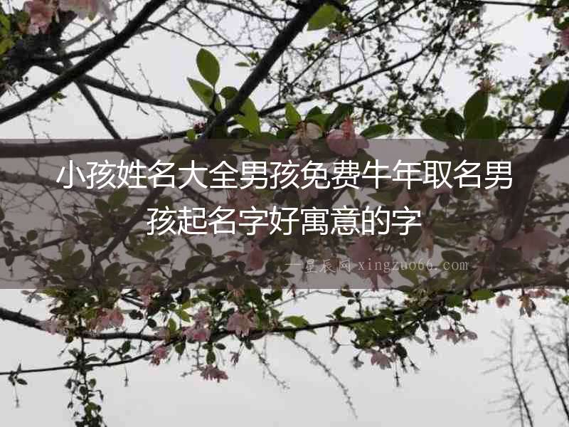 小孩姓名大全男孩免費牛年取名男孩起名字好寓意的字