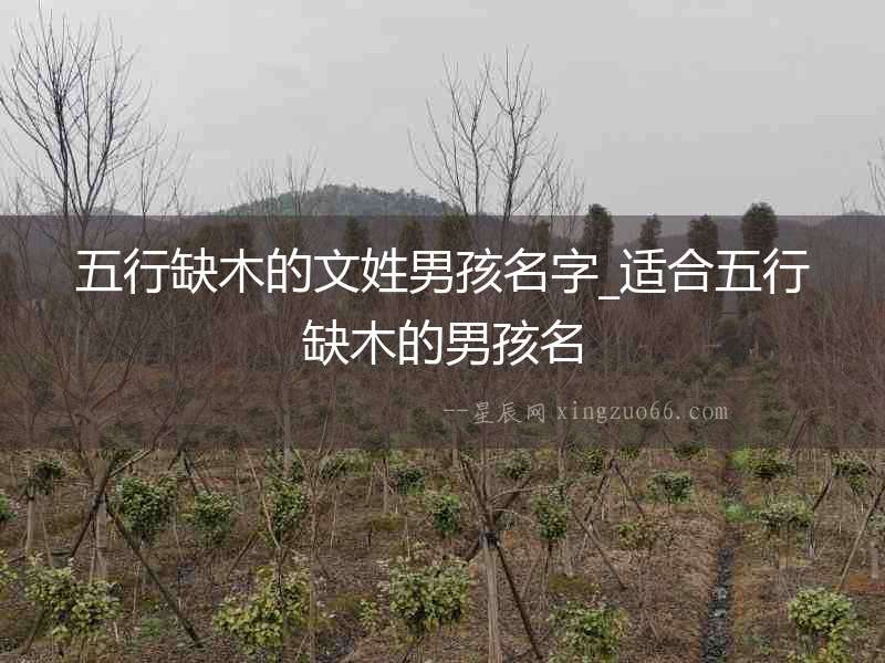 五行缺木的文姓男孩名字_適合五行缺木的男孩名