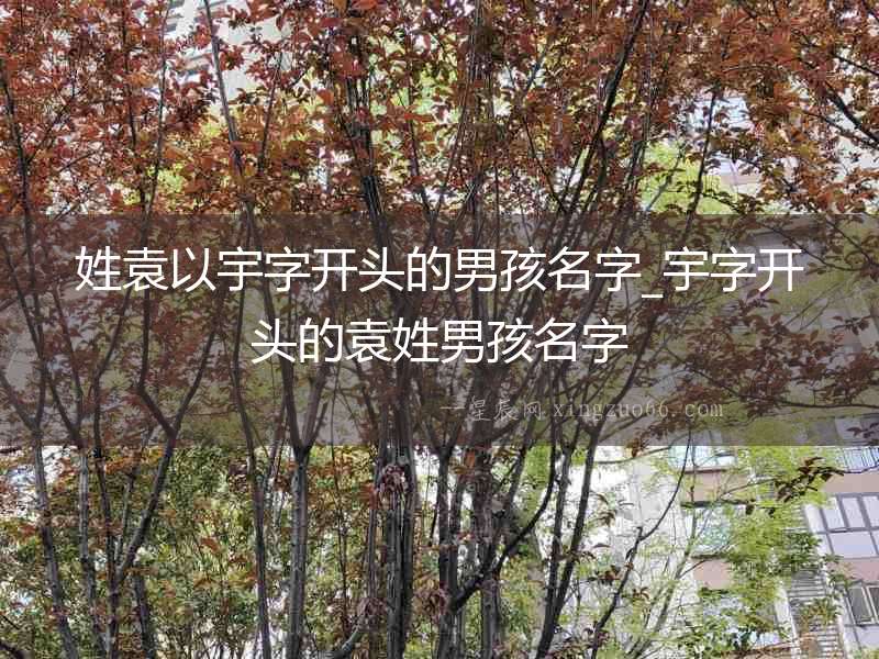 姓袁以宇字開(kāi)頭的男孩名字_宇字開(kāi)頭的袁姓男孩名字
