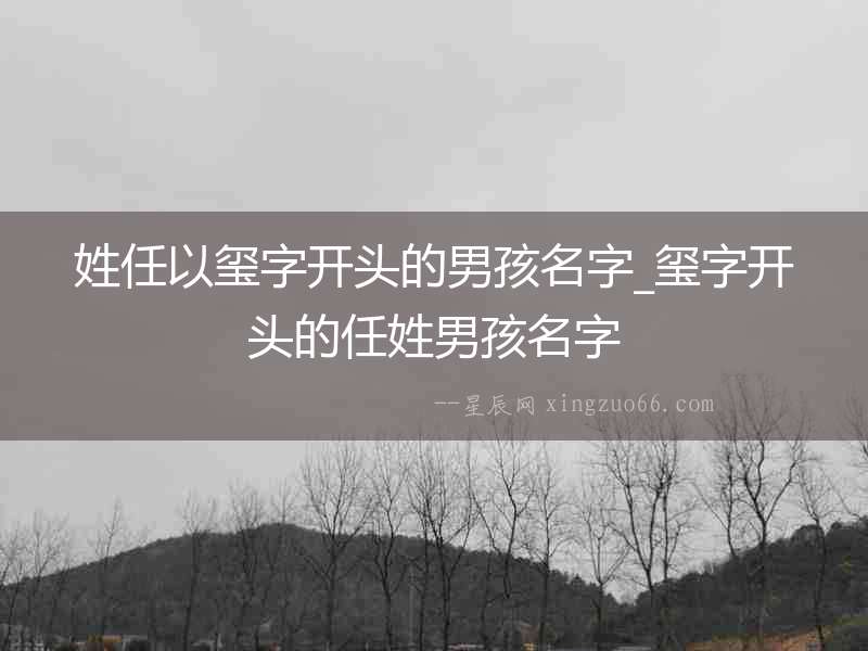 姓任以璽字開頭的男孩名字_璽字開頭的任姓男孩名字