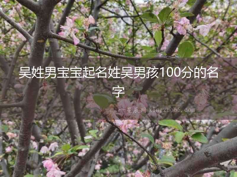 吳姓男寶寶起名姓吳男孩100分的名字