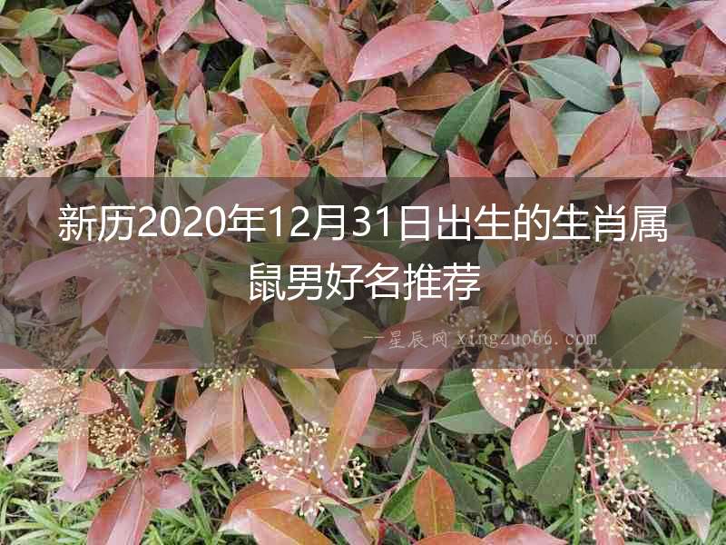 新歷2020年12月31日出生的生肖屬鼠男好名推薦