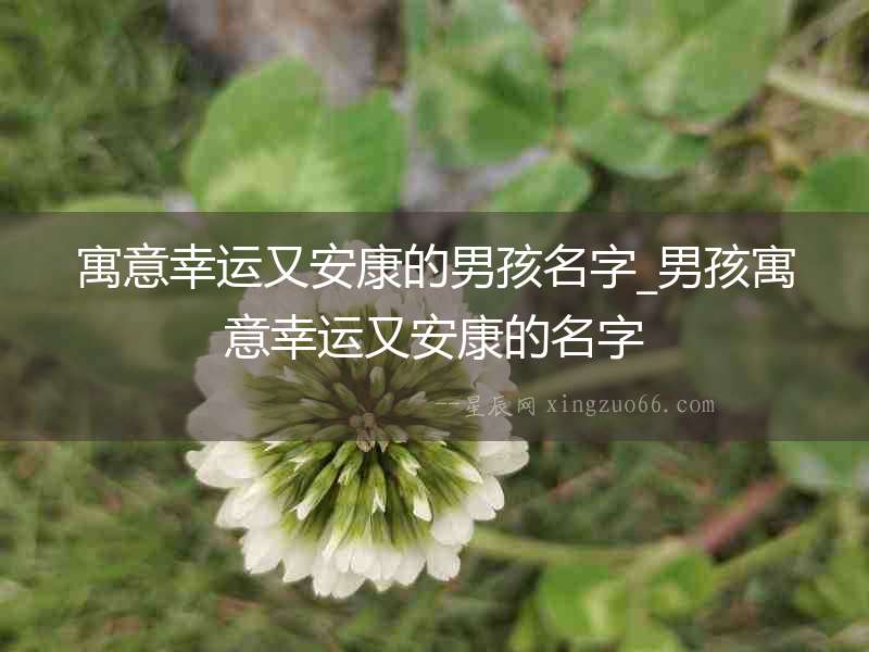 寓意幸運又安康的男孩名字_男孩寓意幸運又安康的名字
