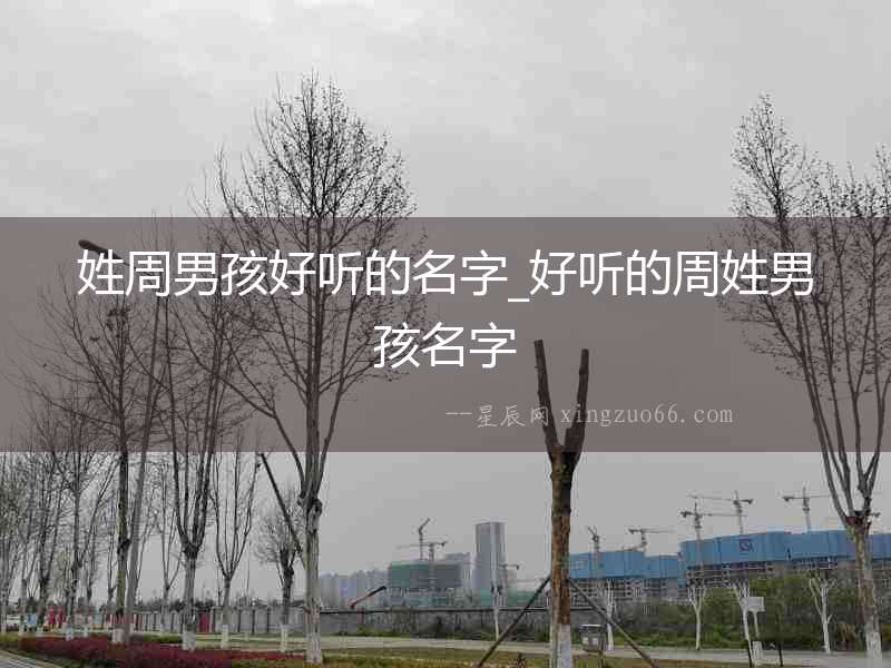 姓周男孩好聽的名字_好聽的周姓男孩名字