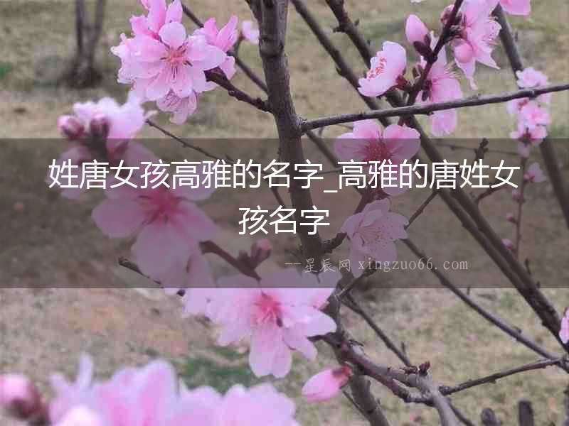 姓唐女孩高雅的名字_高雅的唐姓女孩名字