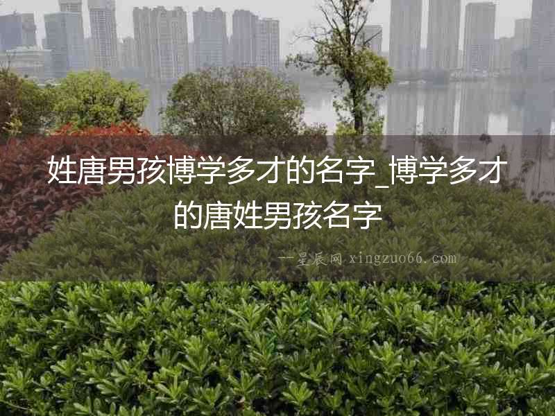 姓唐男孩博學(xué)多才的名字_博學(xué)多才的唐姓男孩名字