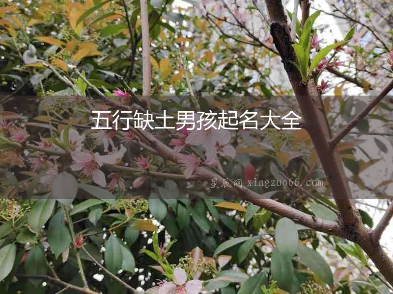 五行缺土男孩起名大全