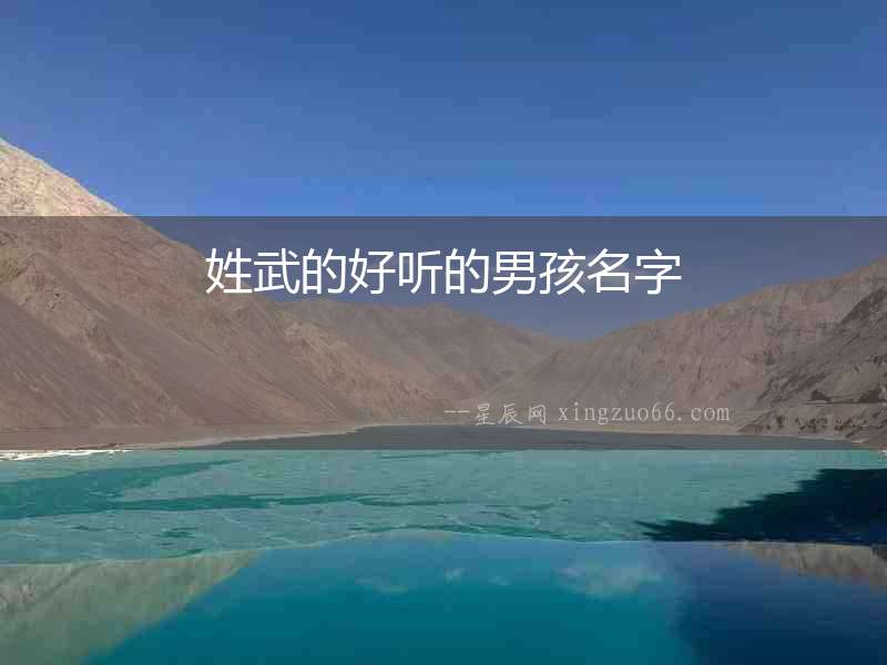 姓武的好聽的男孩名字