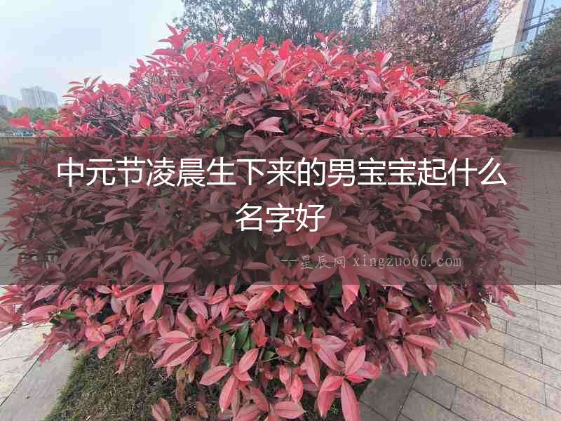 中元節凌晨生下來的男寶寶起什么名字好