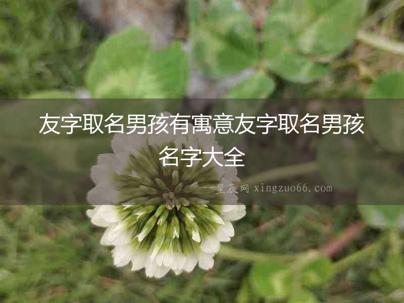 友字取名男孩有寓意友字取名男孩名字大全