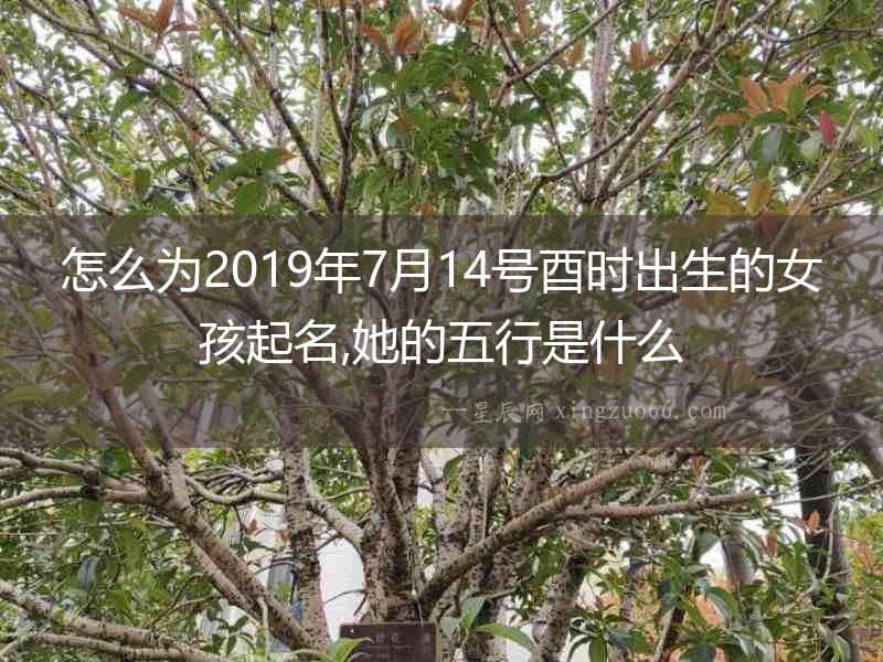 怎么為2019年7月14號酉時出生的女孩起名,她的五行是什么